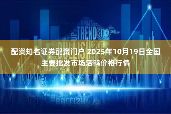配资知名证券配资门户 2025年10月19日全国主要批发市场活鸭价格行情